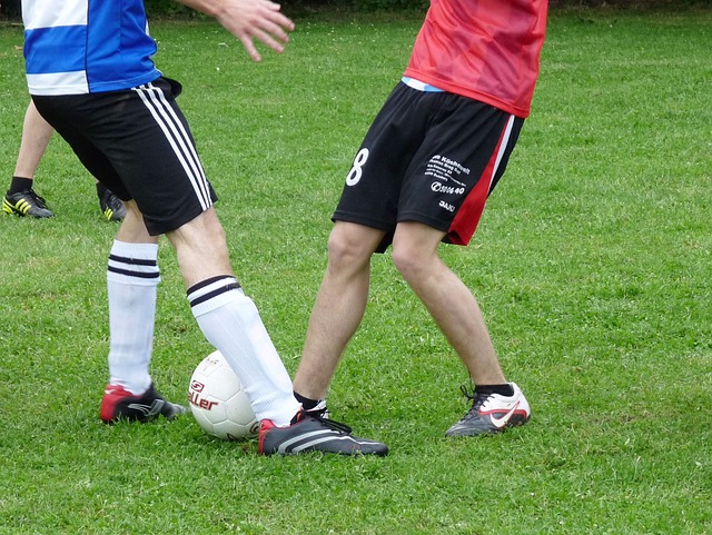 不少分析人 不少分析人