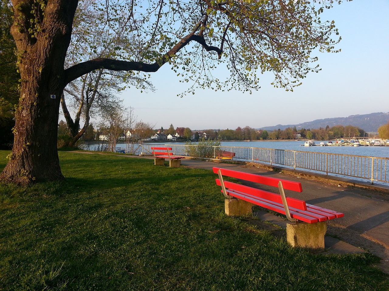 激励着新一 激励着新一