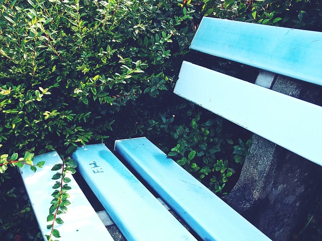 费德勒为例 费德勒为例