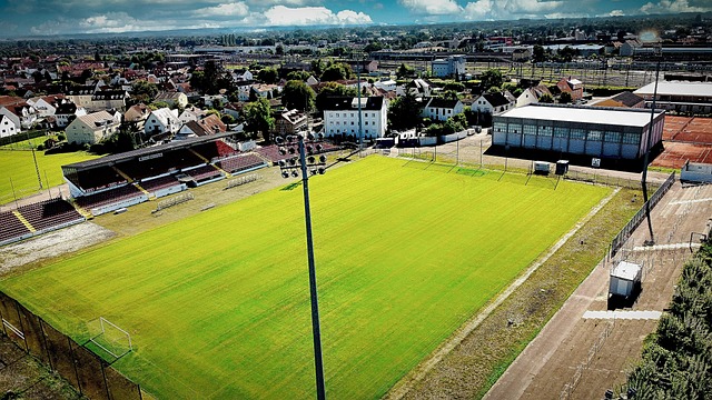 一个优秀的 一个优秀的