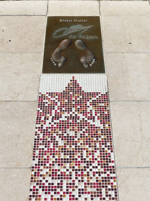 不仅美观 不仅美观